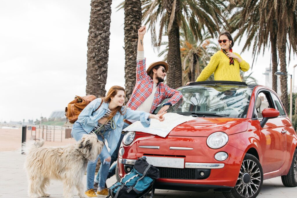 people are going on vaccation in car